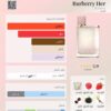 burberry Burberry